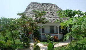 Zanzibar Nungwi 