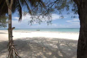 Zanzibar Beach