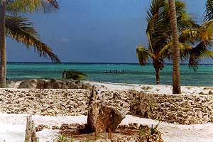 Zanzibar Prison Island Ruins