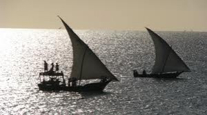 Zanzibar package cruiser