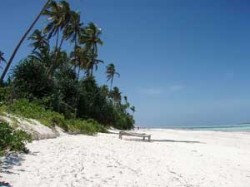 Jambiani Beach Zanzibar