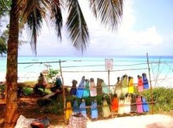 Snorkel Flippers at Jambiani Beach Zanzibar