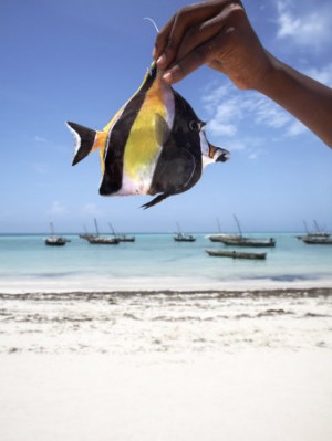 Fishing at Nungwi Beach Zanzibar