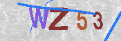 Please prove you are a human by entering the characters shown in the image above.