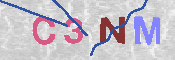 Please prove you are a human by entering the characters shown in the image above.